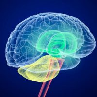 Denver Catastrophic Injury Lawyer - Shafner Law Firm